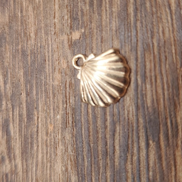 P133 - Picture 1 of 2